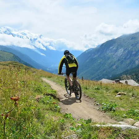 Grand Roc - Campanules 415 - Happy *